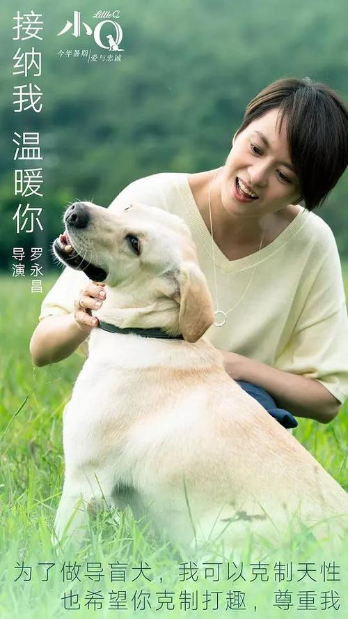 仿制联合神学院毕业证